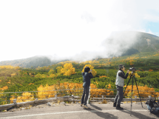 Hike through the most amazing autumn scenery in Mount Norikura